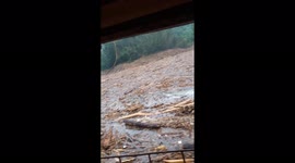 Boat struggles to pass through river swamped with debris and trees due to flooding in Vietnam