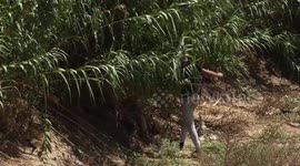 Unique homemade musical instrument made by Palestinian man