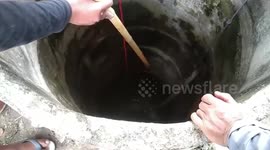 Python rescued after being stuck in 32ft-deep well in Thailand