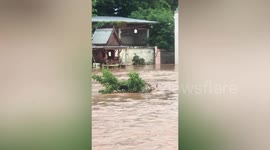 Heroic passers-by rescue stray dog from raging flood in Thailand