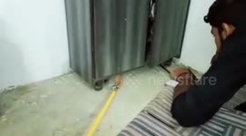 Rat snake removed from government official's home in northern India