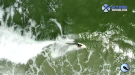 Awesome drone footage shows a surfer gliding over a bull shark
