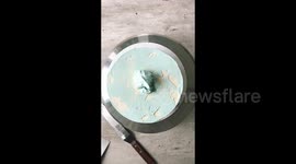 The process of making a cake with sheep in the meadow