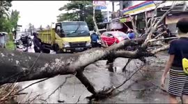 Heavy winds bring tree down on minibus in south Indonesia