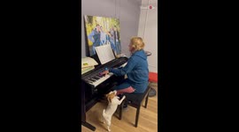Johann Sebastian Bark! Cute dog 'sings along' as owner plays piano