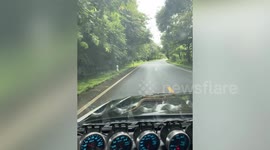 Terrifying moment PYTHON emerges on car windscreen with couple inside