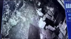 Woman armed with walking stick fends off attacking leopard in western India