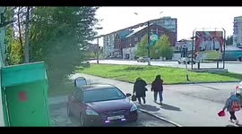 The tree almost fell on the people