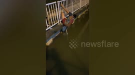 Hero passerby rescues kitten drowning in dirty canal in Thailand