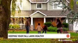 Keeping your fall lawn healthy through the colder season