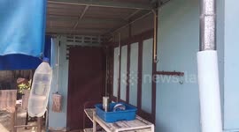 Monitor lizard caught clinging onto family’s kitchen door