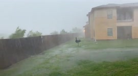 US: Heavy Rain Causes Flash Flooding In Parts Of Texas