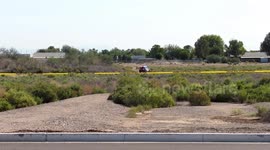 Plane survives mid-air collision with Helicopter. Helicopter did not.
