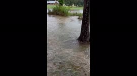 Flooded fields and roads as heavy rains hit parts of Texas
