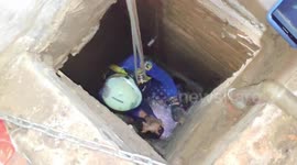 Firefighters in Jakarta evacuate kitten trapped in six-meter deep well