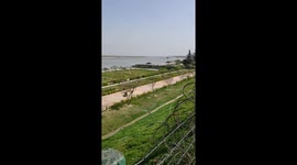 A ground near River of the Ganga