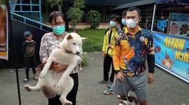 Commemorating International Rabies Day, Hundreds of Lovers in Padang Vaccinate their Animals to Anticipate Rabias Bites