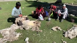 Shepherds in Indian Kashmir hills