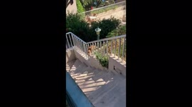 Cute Cat moving inside house