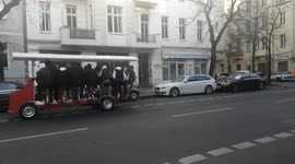 BEER BIKE in Berlin. Drinking beer, BEER BIKE visitors pedal and ride on city roads,