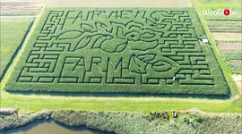 Stunning aerial footage shows insanely detailed corn maze in all its glory