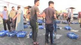 Palestinian fishermen sell fish and seafood for customers as the day's catch was auctioned off at Gaza City's main port