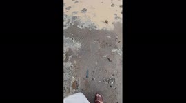 Oman: Cyclone Shaheen Batters Coastal Areas, Killing Three 2