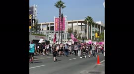Britney Spears Supporters Protest Singer's Conservatorship
