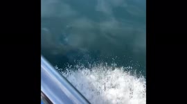US: Massive Oil Spill Hits Southern California