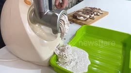 YouTuber finds out what happens when he puts ice cream though meat grinder