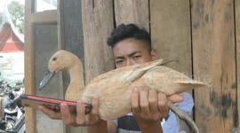 Duck, duck, loose! Ducks thrown into air as they race through Indonesian streets