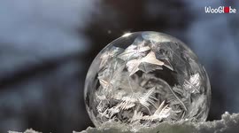 Enchanting timelapse shows bubble freezing at -20C