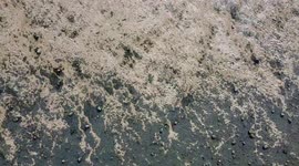 East Mersea Tidal Island Drone Shot