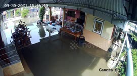 Ferocious monitor lizard runs through flooded house after storm