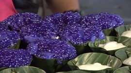 STREET FOOD: Watch colourful coconut pudding being made by Thai vendors