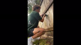 Pet owner creates DIY window in fence so his golden retriever can see out - 13m views on TikTok