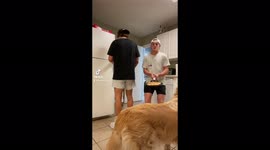 Remake of Jake & Logan Paul’s vine. 1.5 million in 1 day.