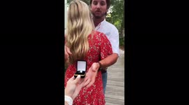 Surprise Proposal