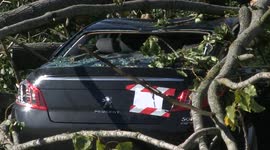 Car crushed by huge tree as high winds sweep across Nottingham