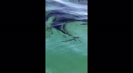 US: Massive Oil Spill Hits Southern California 2
