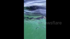 144,000 gallons of oil spills off Southern California coast
