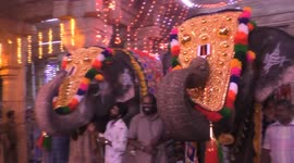Temple elephants in South India plays a mouth organ to please the Goddess.