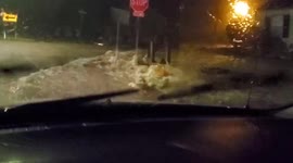 Alabama slammed with flooding