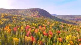 Drone footage captures stunning autumnal palette displayed by fall foliage in Newfoundland, Canada