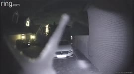 Woman shocked after finding out a SLUG had been repeatedly ringing her doorbell