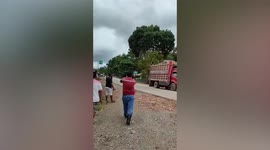 Wild orangutan runs across road in Indonesia