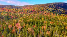 Stunning Drone Footage: Peak Fall Foliage Beauty | Western Newfoundland