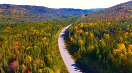 Drone aerial: Fall foliage along a road in Newfoundland | autumn colours