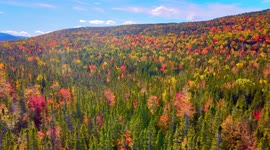 Stunning drone footage of autumn colours in Newfoundland, Canada
