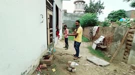 Indian rat snake slithers into house, gets rescued in northern India